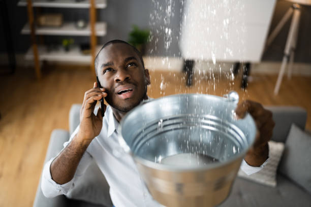 Best 24/7 water damage repair  in Huntington, WV
