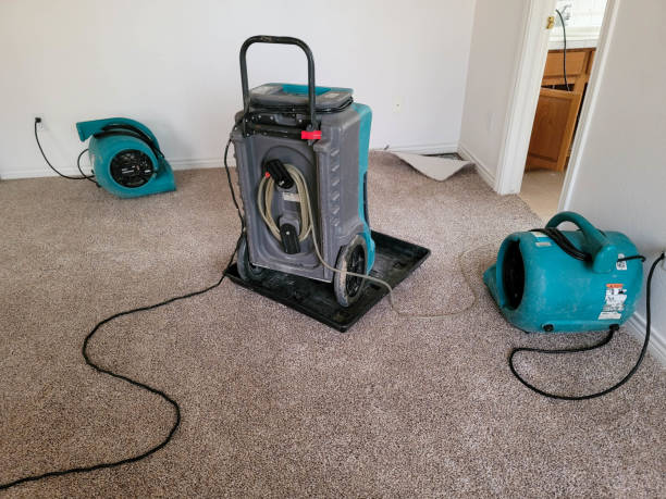 Best Professional water damage repair  in Huntington, WV