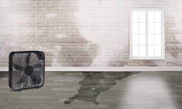 Professional Water damage restoration in Huntington, WV