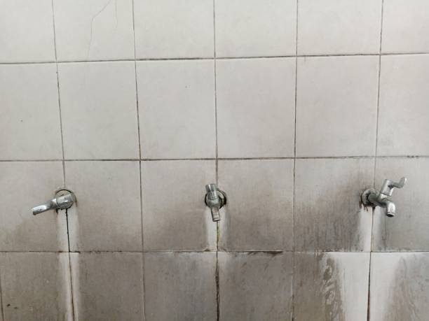 Best Commercial water damage restoration  in Huntington, WV