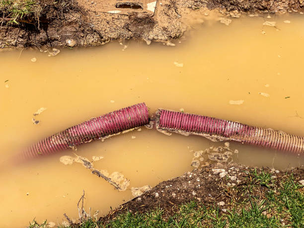 Best 24/7 water damage repair  in Huntington, WV