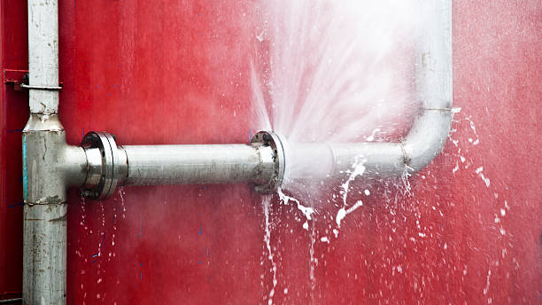 Best Professional water damage repair  in Huntington, WV